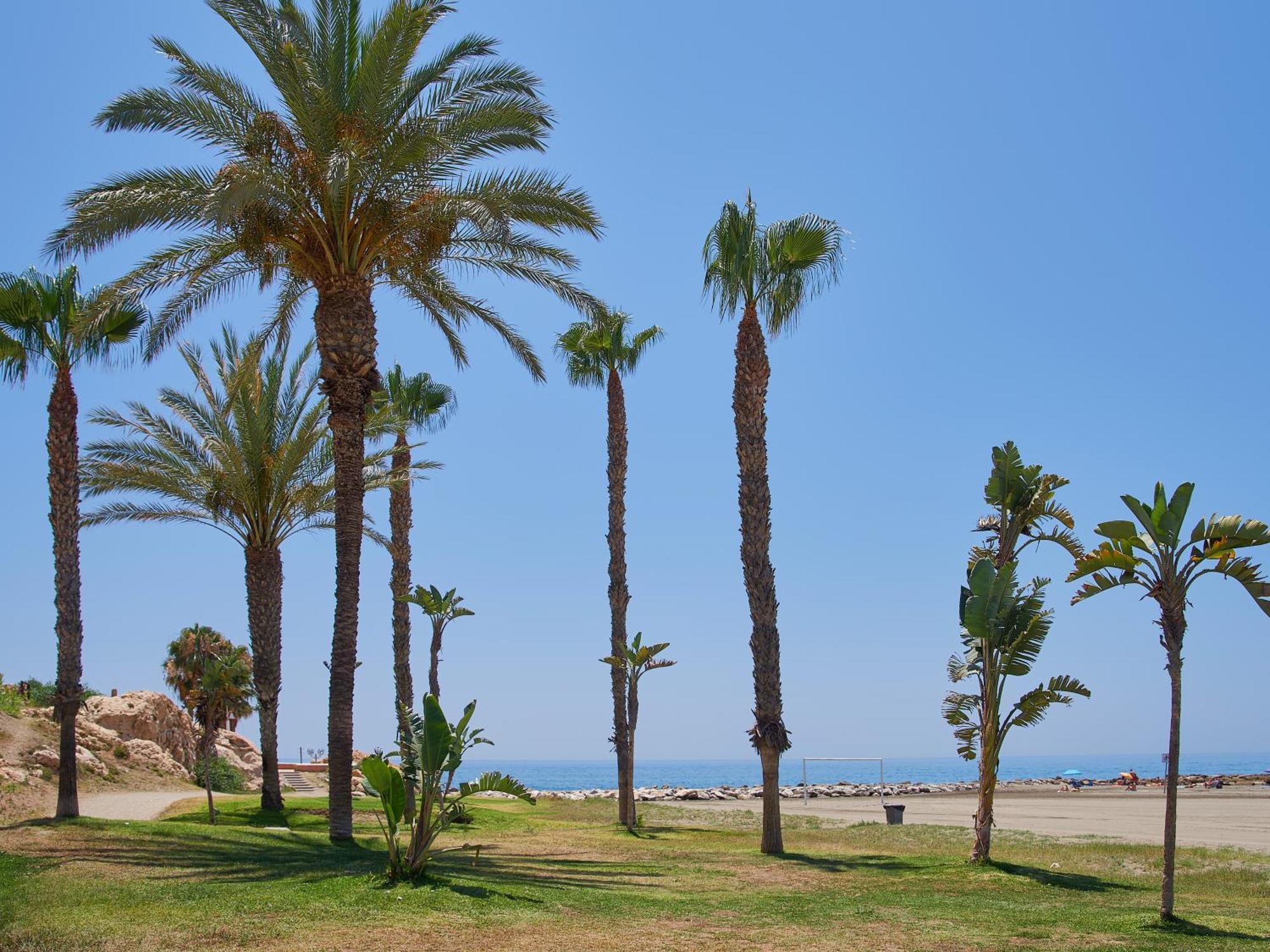 Lovely Studio With Seaview 700M From The Beach La Cala Del Moral Exteriör bild